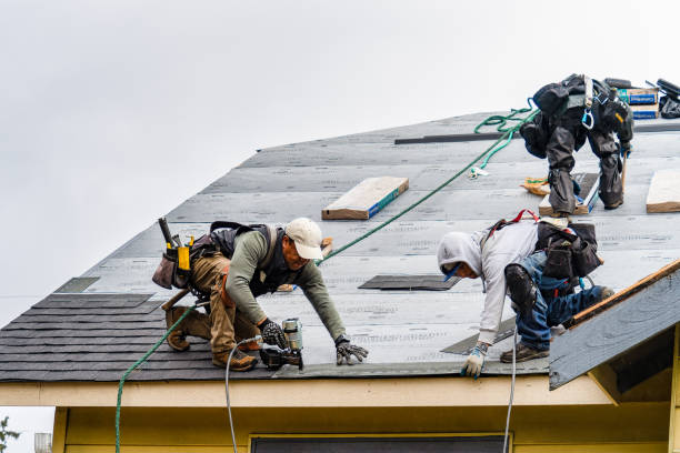 Professional Gutter Installation technician working in Everglades City, FL